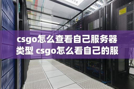 csgo怎么查看自己服务器类型 csgo怎么看自己的服务器