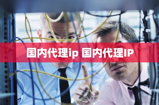 国内代理ip 国内代理IP