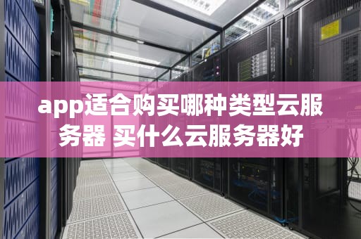 app适合购买哪种类型云服务器 买什么云服务器好