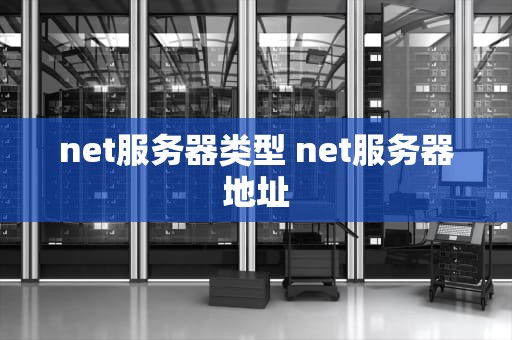net服务器类型 net服务器地址