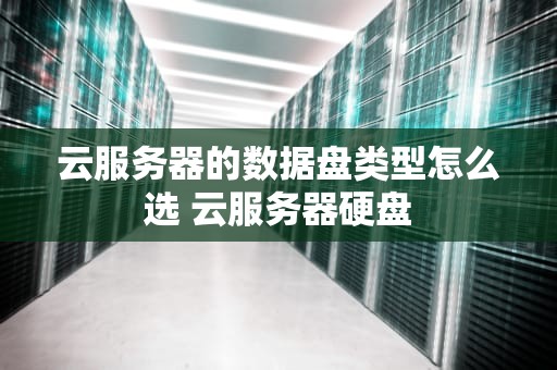 云服务器的数据盘类型怎么选 云服务器硬盘