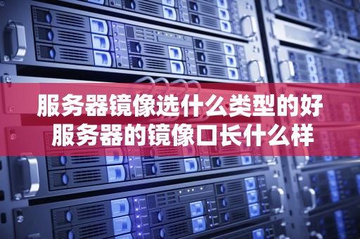 服务器镜像选什么类型的好 服务器的镜像口长什么样