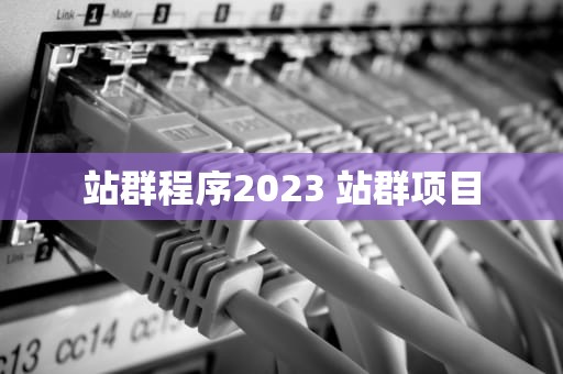 站群程序2023 站群项目