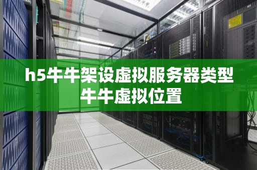 h5牛牛架设虚拟服务器类型 牛牛虚拟位置