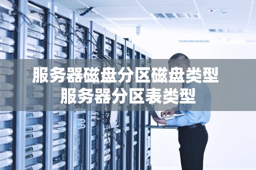 服务器磁盘分区磁盘类型 服务器分区表类型