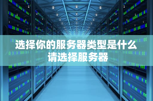 选择你的服务器类型是什么 请选择服务器