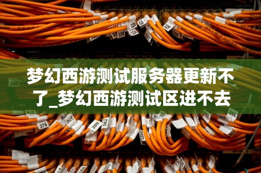 梦幻西游测试服务器更新不了_梦幻西游测试区进不去怎么办_梦幻西游测试服务器更新问题及解决方案