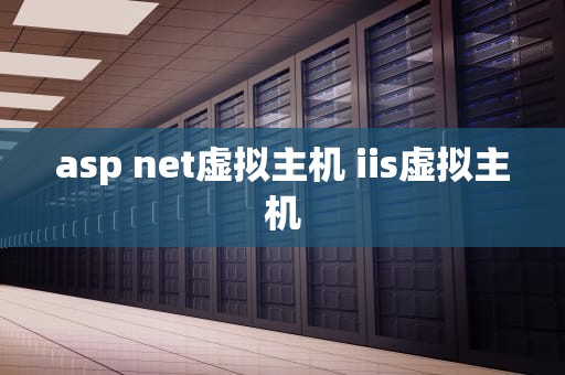 asp net虚拟主机 iis虚拟主机