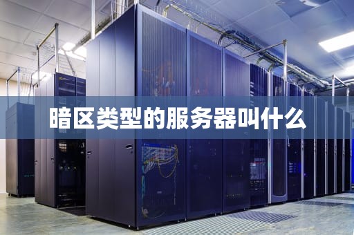 暗区类型的服务器叫什么