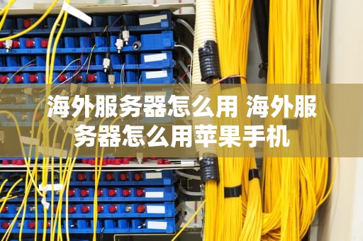 海外服务器怎么用 海外服务器怎么用苹果手机