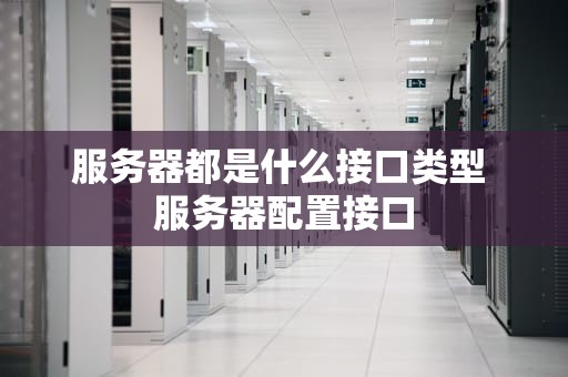 服务器都是什么接口类型 服务器配置接口