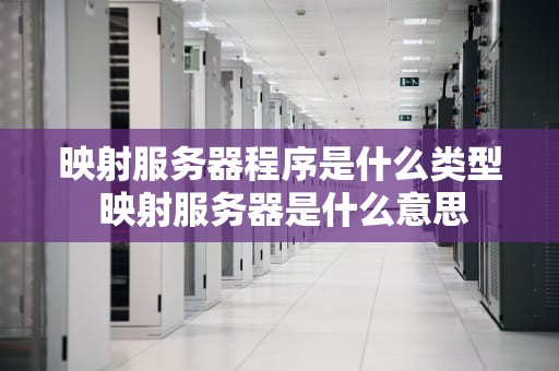 映射服务器程序是什么类型 映射服务器是什么意思