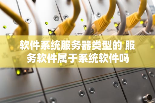 软件系统服务器类型的 服务软件属于系统软件吗