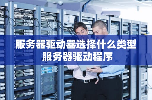 服务器驱动器选择什么类型 服务器驱动程序