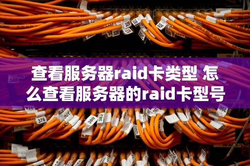 查看服务器raid卡类型 怎么查看服务器的raid卡型号