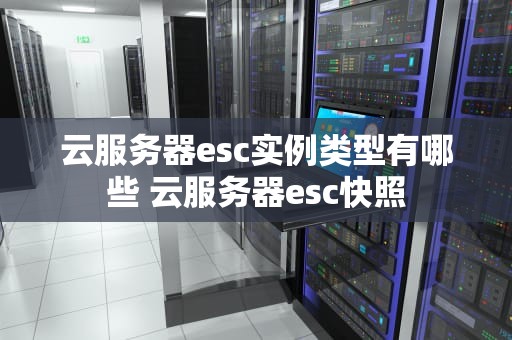 云服务器esc实例类型有哪些 云服务器esc快照