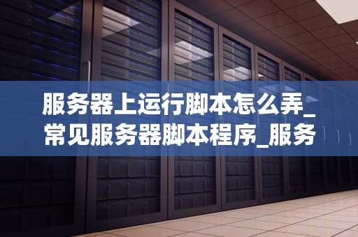 服务器上运行脚本怎么弄_常见服务器脚本程序_服务器上运行脚本的全面指南