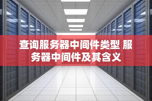 查询服务器中间件类型 服务器中间件及其含义