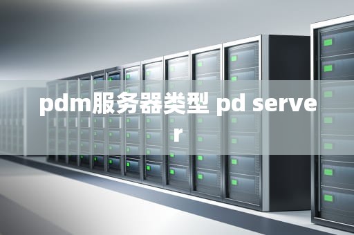 pdm服务器类型 pd server