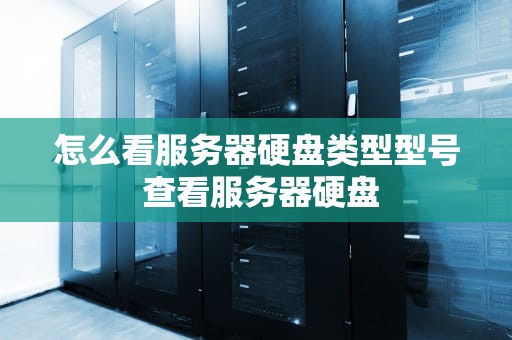 怎么看服务器硬盘类型型号 查看服务器硬盘
