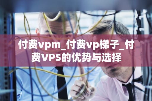 付费vpm_付费vp梯子_付费VPS的优势与选择