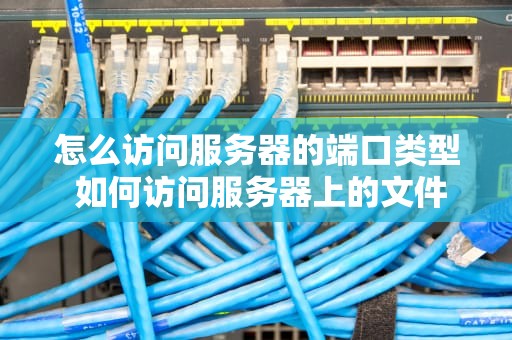 怎么访问服务器的端口类型 如何访问服务器上的文件