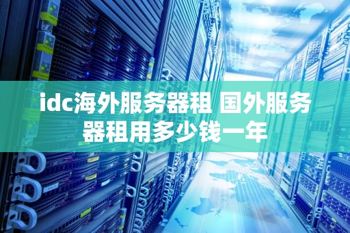 idc海外服务器租 国外服务器租用多少钱一年