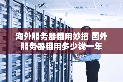 海外服务器租用妙招 国外服务器租用多少钱一年
