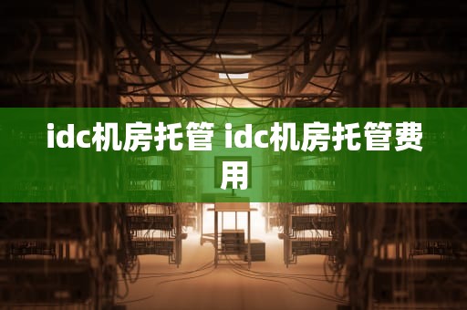 idc机房托管 idc机房托管费用