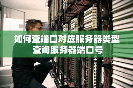 如何查端口对应服务器类型 查询服务器端口号