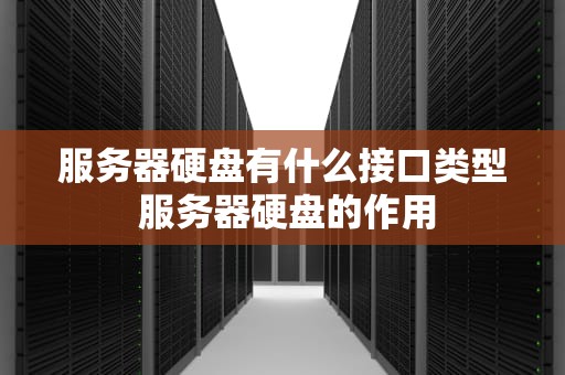 服务器硬盘有什么接口类型 服务器硬盘的作用