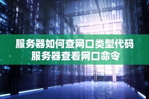 服务器如何查网口类型代码 服务器查看网口命令