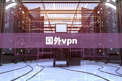 国外vpn