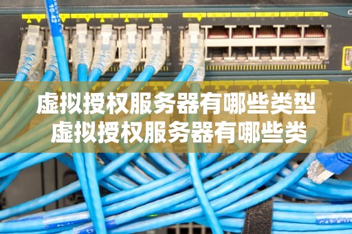 虚拟授权服务器有哪些类型 虚拟授权服务器有哪些类型的