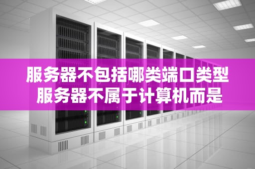 服务器不包括哪类端口类型 服务器不属于计算机而是一种高性能的机器