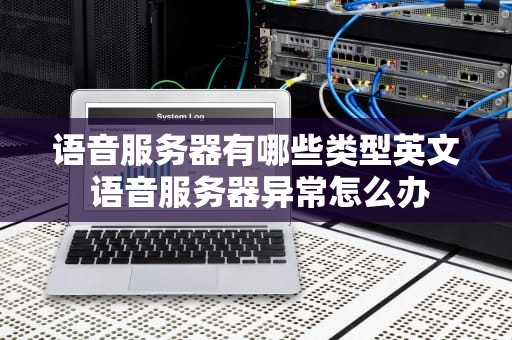语音服务器有哪些类型英文 语音服务器异常怎么办