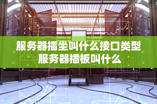 服务器插坐叫什么接口类型 服务器插板叫什么