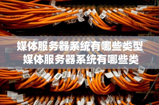 媒体服务器系统有哪些类型 媒体服务器系统有哪些类型的