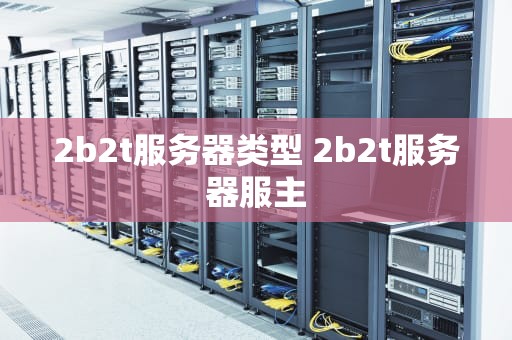 2b2t服务器类型 2b2t服务器服主