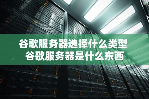 谷歌服务器选择什么类型 谷歌服务器是什么东西
