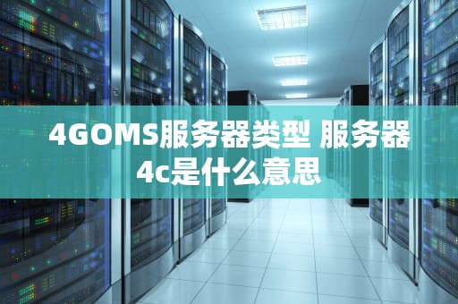 4GOMS服务器类型 服务器4c是什么意思