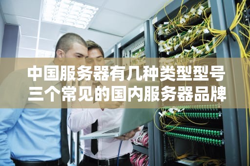 中国服务器有几种类型型号 三个常见的国内服务器品牌