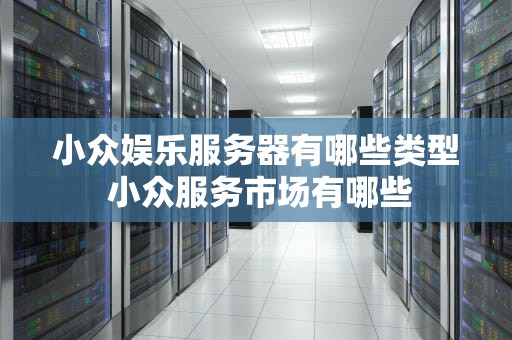 小众娱乐服务器有哪些类型 小众服务市场有哪些