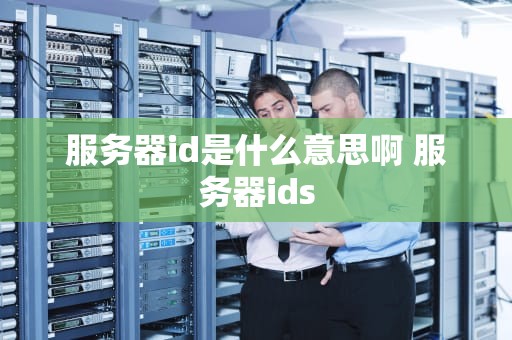 服务器id是什么意思啊 服务器ids