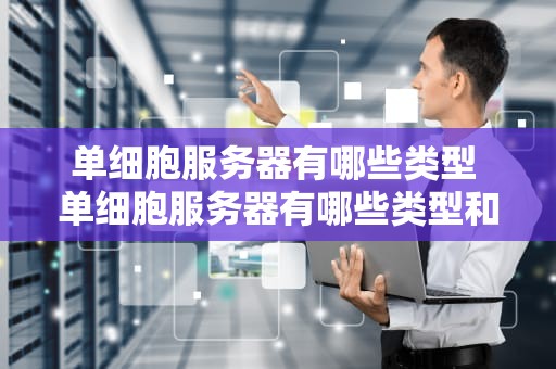 单细胞服务器有哪些类型 单细胞服务器有哪些类型和特点