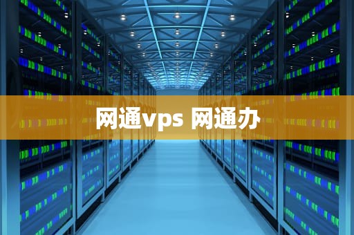 网通vps 网通办