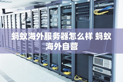 蚂蚁海外服务器怎么样 蚂蚁海外自营