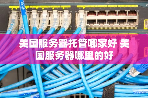 美国服务器托管哪家好 美国服务器哪里的好
