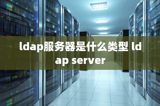 ldap服务器是什么类型 ldap server