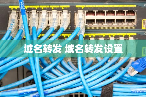 域名转发 域名转发设置